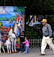 Downtown Cuernavaca