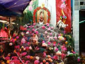 Shrine to Guadalupe