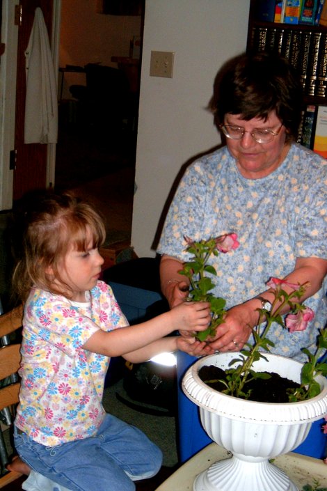 Potting Plants with Grandma (June 2005)