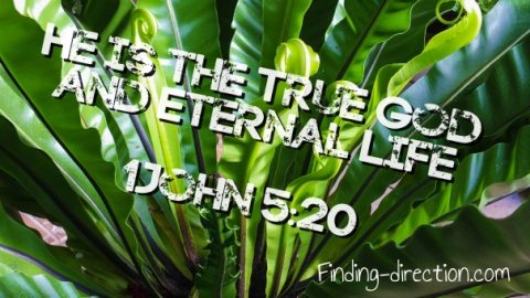 True God - Eternal Life