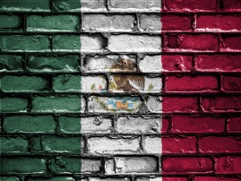 Mexico flag on brick wall
