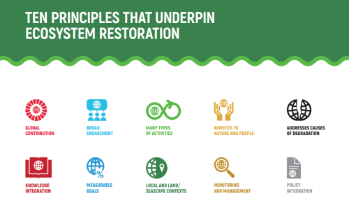 Principles for Ecosystem Restoration to Guide the United Nations Decade 2021-2030
