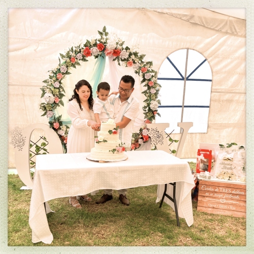 Renewal of Vows Cake?