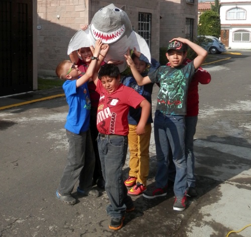 Shark attack!