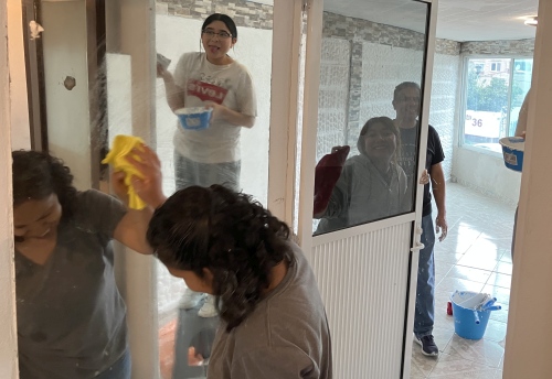 window and mirror cleaning