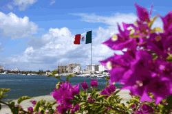 Mexico flowers and flag