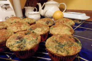 Shari's Blueberry Orange Muffins